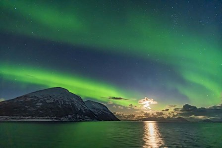Auroral Curtains Along the Norwegian Coast by Alan Dyer/Stocktrek Images art print