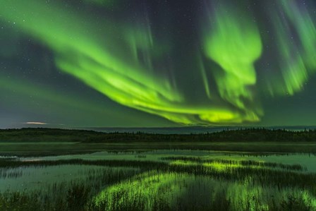Aurora Over Prosperous Lake, Near Yellowknife by Alan Dyer/Stocktrek Images art print