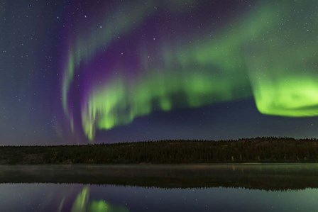 Colorful Aurora in the Darkening Twilight Over Madeline Lake by Alan Dyer/Stocktrek Images art print