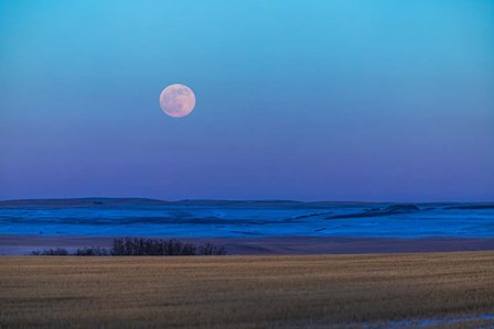 The Rising Full Moon Over the Alberta Prairie by Alan Dyer/Stocktrek Images art print