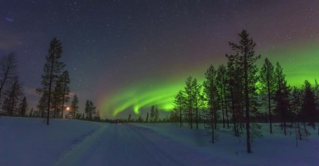 Northern Lights in Lapland Forest, Finland by Giulio Ercolani/Stocktrek Images art print