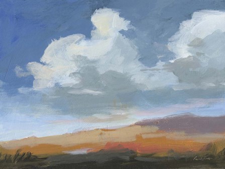 August Sky by Pamela Munger art print