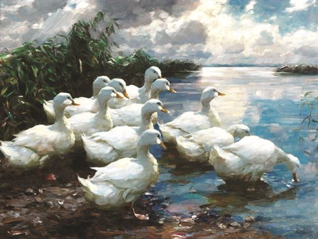 Ducks by the Lake 1 by Stellar Design Studio art print