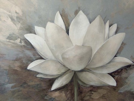 Magnolia Hope 1 by Anonymous art print
