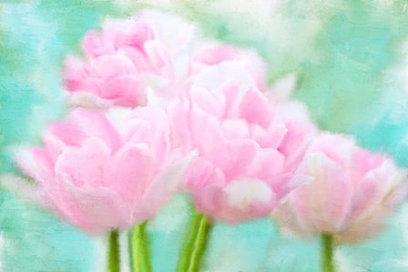 Pretty Pink by Kimberly Allen art print