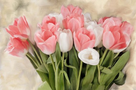 Pink And White Tulips by Kimberly Allen art print