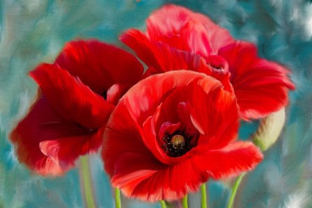 Poppies Blue by Kimberly Allen art print