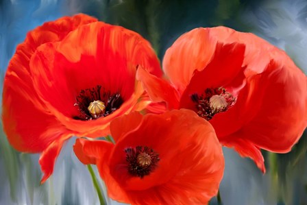 Poppy Trio by Kimberly Allen art print