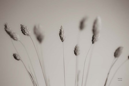 Natural Grasses by Nathan Larson art print