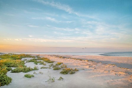 Morning Beach by Brooke T. Ryan art print