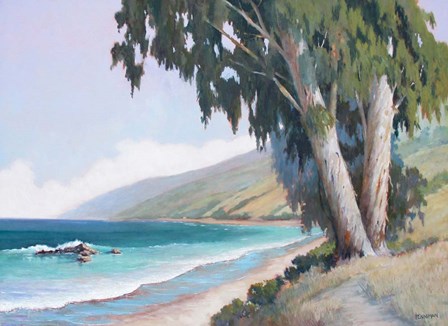 Central California Coast by Ed Penniman art print