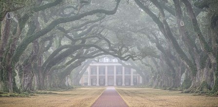 Oak Alley Plantation by Andy Crawford Photography art print