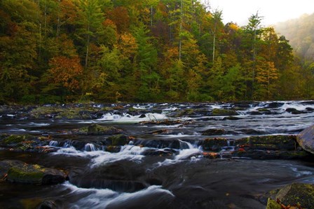 Autumn on the Tellico River by Andy Crawford Photography art print