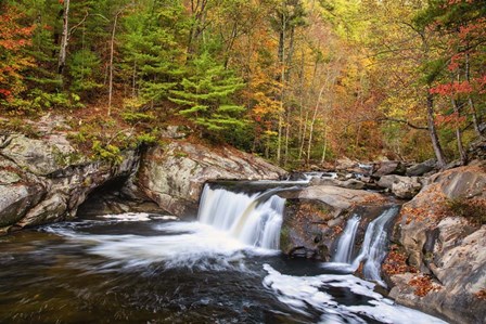 Baby Falls Tellico River by Andy Crawford Photography art print