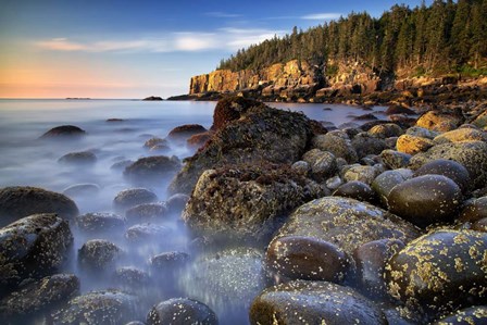 Sunrise at Boulder Beach by Andy Crawford Photography art print