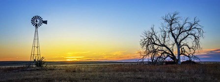 Sand Hills Sunrise by Andy Crawford Photography art print