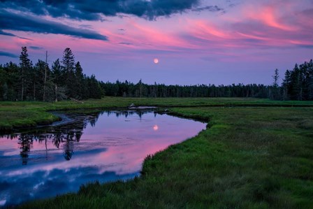 Moon Over Bass Harbor Marsh by Andy Crawford Photography art print