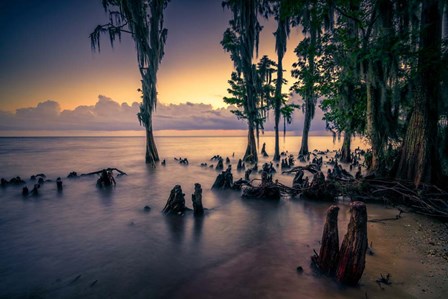 The Shore of Lake Pontchartrain by Rick Berk art print