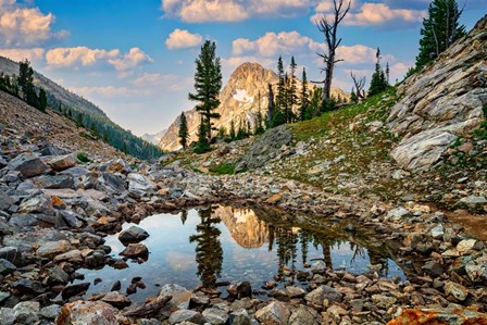 Mount Regan Reflection by Rick Berk art print