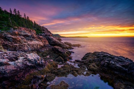 Morning Glow from Otter Cliff by Rick Berk art print