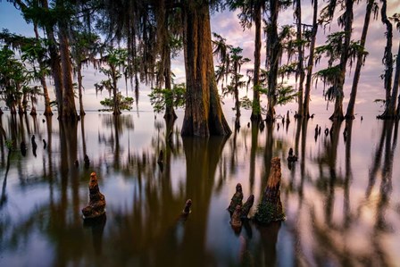 Maurepas Morning by Rick Berk art print