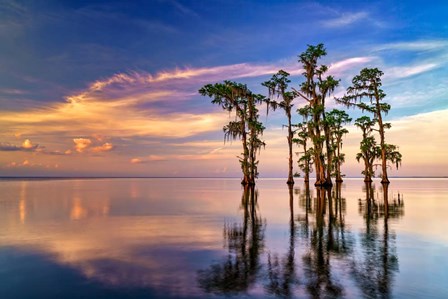 Dusk on Lake Maurepas by Rick Berk art print