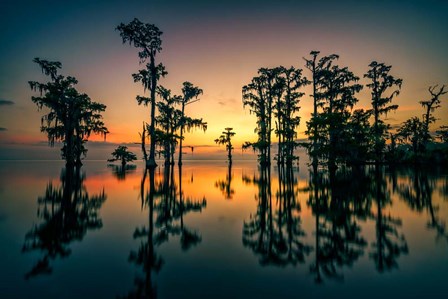 Dawn on Lake Maurepas by Rick Berk art print