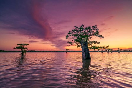 Atchafalaya Sunset by Rick Berk art print