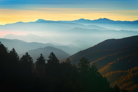 Autumn Mist at Newfound Gap by Rick Berk art print