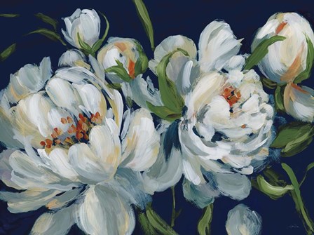 Peony Season I Navy by Katrina Pete art print