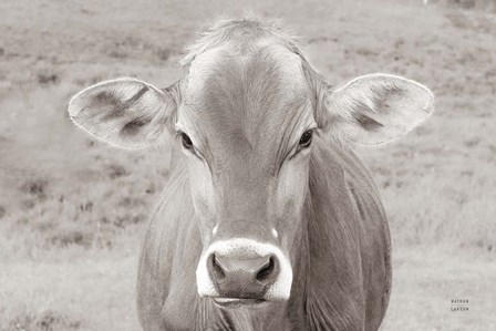 Dairy Barn Neutral by Nathan Larson art print