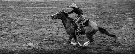 Rodeo II BW by Nathan Larson art print