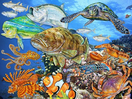 Sea Life of the World 2 by Tim Jeffs art print