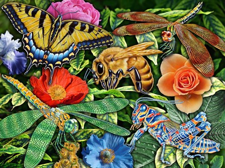 Insects by Tim Jeffs art print