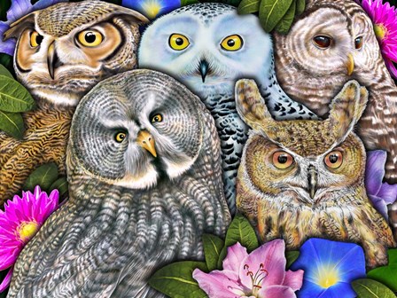 Owls by Tim Jeffs art print