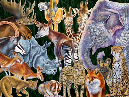 Animals of the World by Tim Jeffs art print