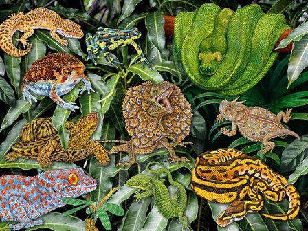 Reptile &amp; Amphibians by Tim Jeffs art print