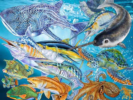 Sea Life of the World by Tim Jeffs art print