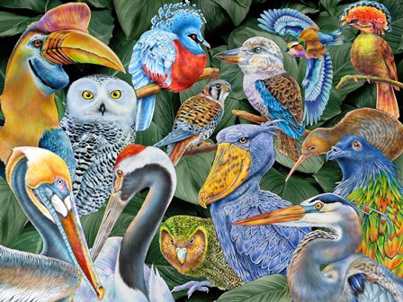 Birds of the World by Tim Jeffs art print