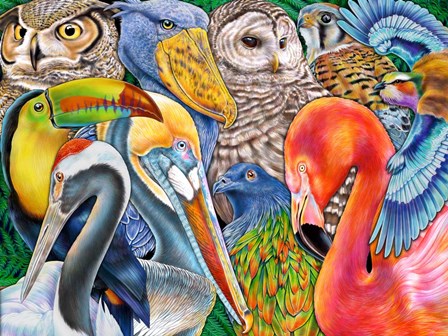 Collage Birds Horizontal by Tim Jeffs art print