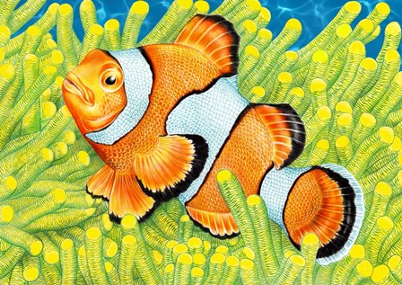 Clownfish by Tim Jeffs art print
