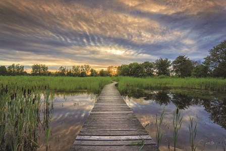 Boardwalk by Martin Podt art print