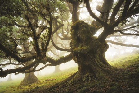 Forest Monster by Martin Podt art print