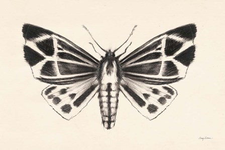 Moth III by Avery Tillmon art print