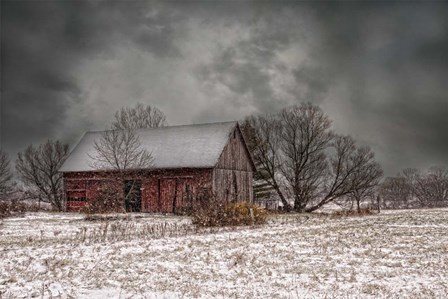 Weathering Winter by Kelley Parker art print