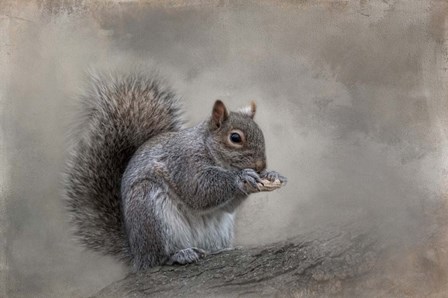 Winter Nibbles by Kelley Parker art print