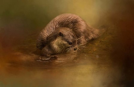 Otter Curiosity by Kelley Parker art print