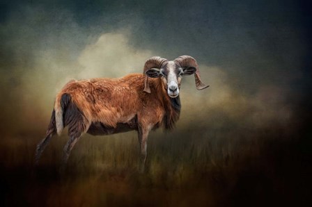 Focused on You by Kelley Parker art print