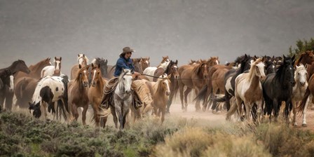 Gallop On by PBurchettPhoto art print