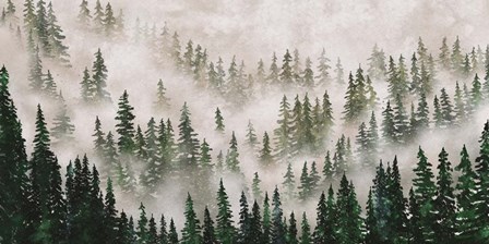 Misty Forest by JJ Design House art print